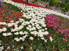 -石家庄市植物园