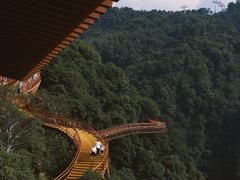 -少华山国家森林公园