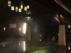 -天目湖涵田半山温泉