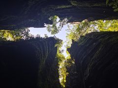 -梭布垭石林景区