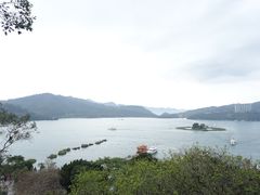 -金盆阿嬷香菇茶叶蛋(玄光店)