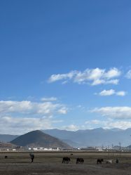 -纳帕海依拉草原