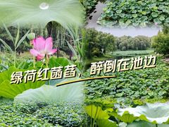 -仰山公园