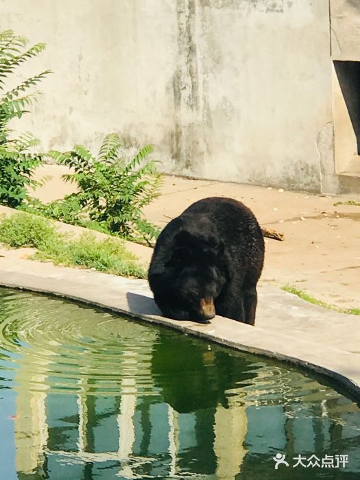 天津動物園圖片