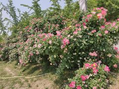 -廊坊文化艺术中心