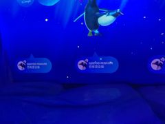 -暹罗海洋世界