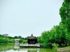 -杏花村文化旅游区