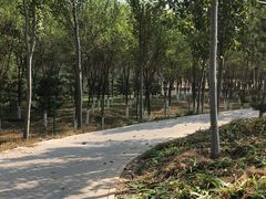 -东郊湿地公园