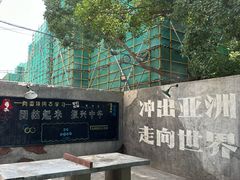 -南湖公园地摊集市