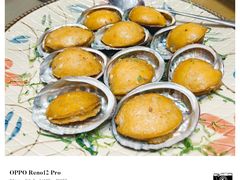 蒸鲍鱼-东豪园林海鲜酒家(南港路辅路店)