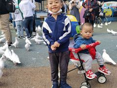 -烟台海昌鲸鲨海洋公园