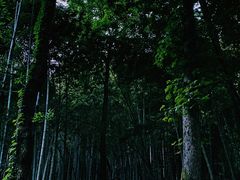 -杭州黄龙洞