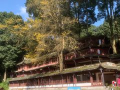 -青城山
