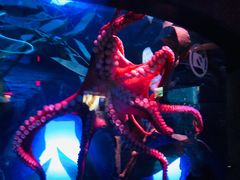 -瑞普利水族馆