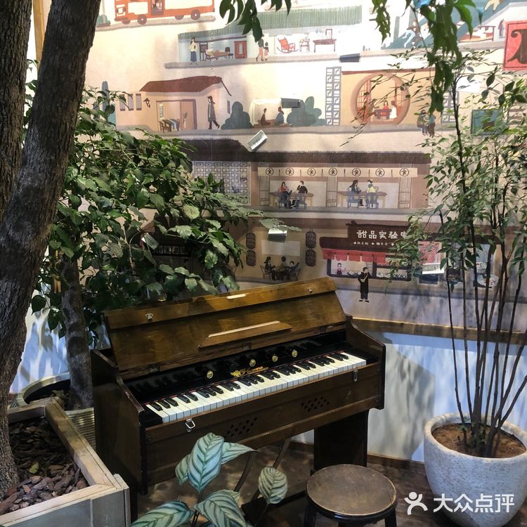 成都｜茂密植被拍照📷不累