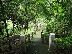 -龙头寺公园