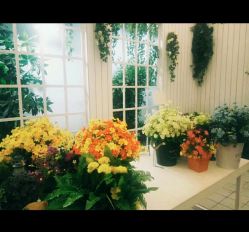 -完美新娘婚纱摄影