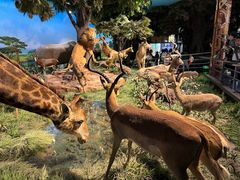 -国家自然博物馆