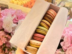 -Pierre Marcolini(德基广场店)