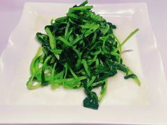 清炒鸡毛菜-19号私房菜(云南路店)
