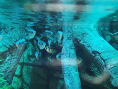 -沈阳海洋探索中心