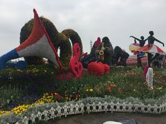 -荷兰花海