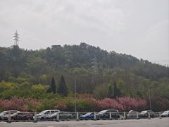-棒棰岛宾馆景区