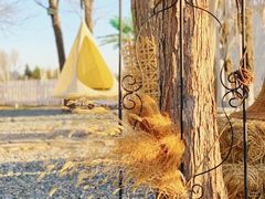 -安德鲁户外烧烤帐篷营地(马泉营店)