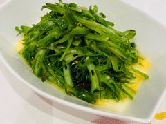 -粤珍轩·家宴·广式茶点(新城广场店)
