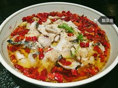 -梧桐花园餐厅(新城店)