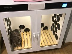 -Double Rui宠物酒店