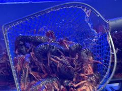 -虾铺子龙虾·私房菜(金源花苑店)