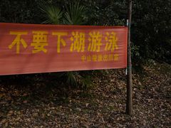 -紫霞湖公园