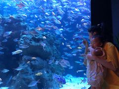 -成都浩海立方海洋公园