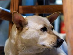 -Cactus墨西哥仙人掌餐厅