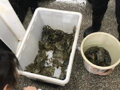 -海底捞火锅(青山湖万达夜宵主题店)