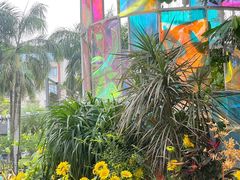 -大渔铁板烧(蛇口店)