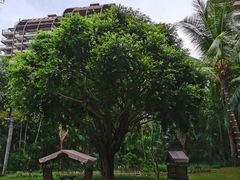 -三亚湾海居铂尔曼度假酒店