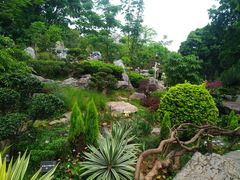 -东莞植物园