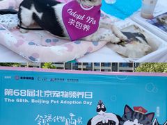 -远洋未来汇