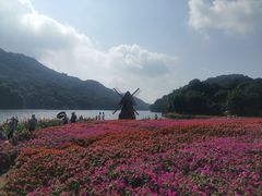 -广州市石门国家森林公园