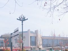 -洛阳古墓博物馆