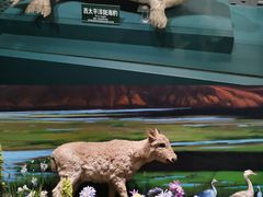 -中国湿地博物馆