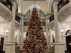 -LONG BAR 廊吧(外滩华尔道夫酒店)