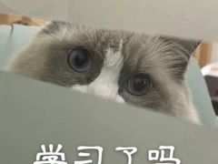 -卤校长重庆火锅(合肥宁国路店)
