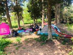 -白鹭湾湿地公园