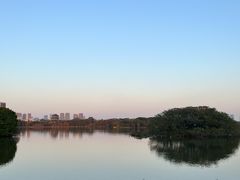 -海珠湖公园