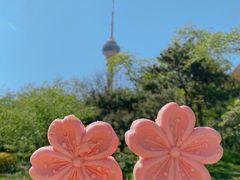 景点-景山公园