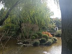 -秋霞圃