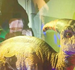 -恐龙探索乐园(磁器口店)